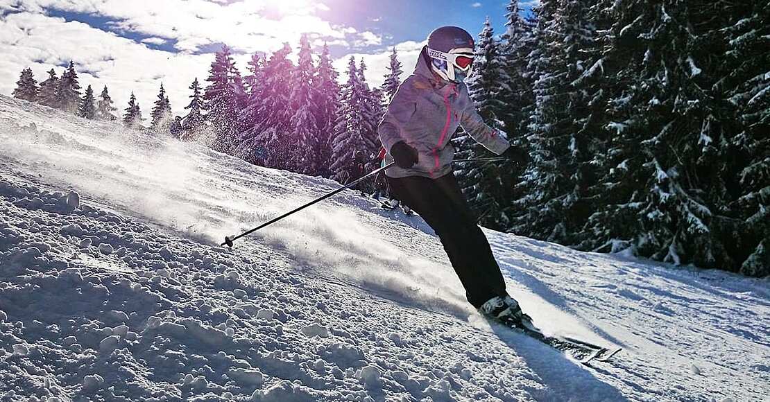 Wintersport: Skibrille/Wintersportbrille